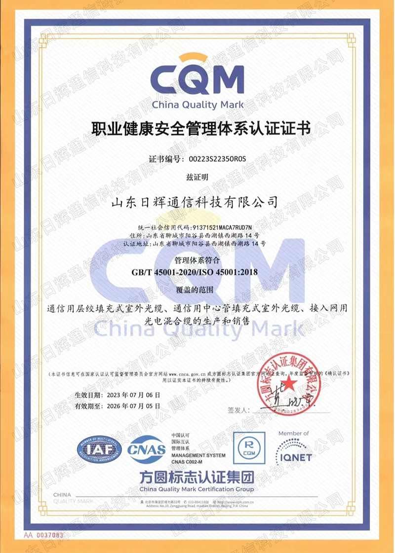 职业健康管理体系